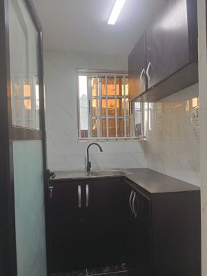 Newly Renovated Very Clean 1 Bedroom Apartment in Lekki Phase 1, Lekki Phase 1, Lekki, Lagos, Mini Flat (room and Parlour) for Rent