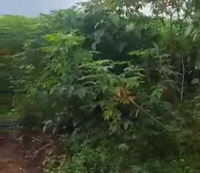 100ft By 200ft Land, Aruogba Community, Off Airport Road Gra, Benin, Oredo, Edo, Land for Sale