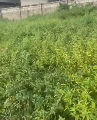 2400 Sqm of Land, Katampe (main), Katampe, Abuja, Mixed-use Land Joint Venture