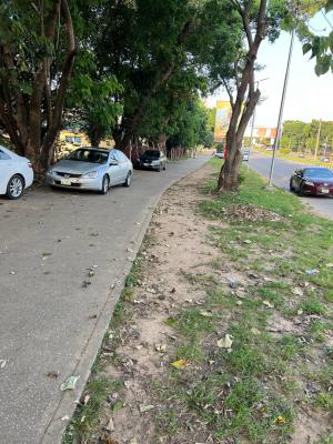 on Tarred Road, Ahmadu Bello Express Way, Garki 2, Garki, Garki, Abuja, Commercial Land for Sale