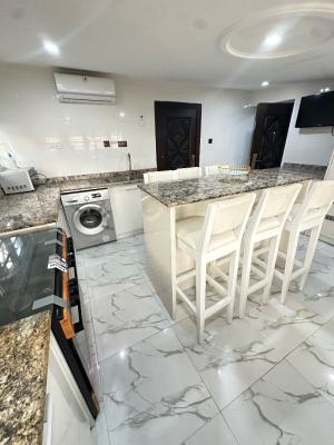 Luxury Furnished Mini Penthouse Apartment, Chief Kola Street, Ologolo, Lekki, Lagos, Mini Flat (room and Parlour) for Rent