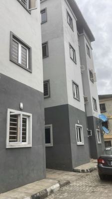 Well Finished 2 Bedroom Flat on Second Floor, Lbic Pen Cinema  Estate, Agege, Lagos, Block of Flats for Sale
