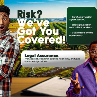 Palm Oil Farm Approval By Government, Harvest Groove in Ayepe Close to Growing Market, Ado-odo/ota, Ogun, Commercial Property for Sale