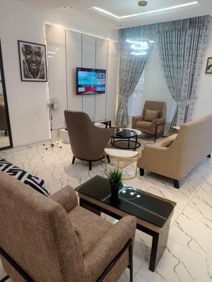 Well Furnished & Spacious Studio/self Contain, Chevy View Estate, Chevron Drive, Lekki, Lagos, Semi-detached Duplex for Rent