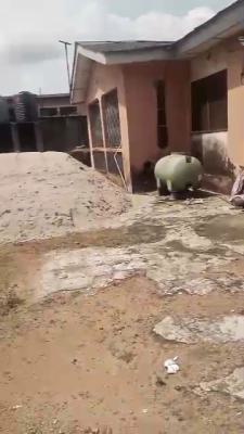 Solidly Built 3-bedroom Flat with 3 Shops, Idimu-ejigbo Road, Idimu, Lagos, Detached Bungalow for Sale