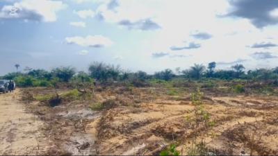 Buy and Build Land with C of O, Airview Estate, Ibeju Lekki, Lagos, Residential Land for Sale