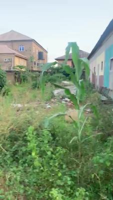 Half Plot of Virgin Land, Alakuko, Ifako-ijaiye, Lagos, Residential Land for Sale
