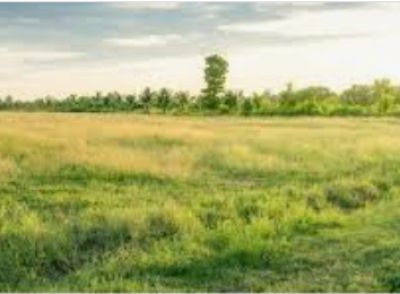 6,850 Sqm Land with Demolishable Structure, Ikota, Lekki, Lagos, Land for Sale