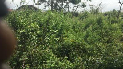 30 Acres of Land, Ologiri Village Omi Adio, Ibadan, Oyo, Mixed-use Land for Sale