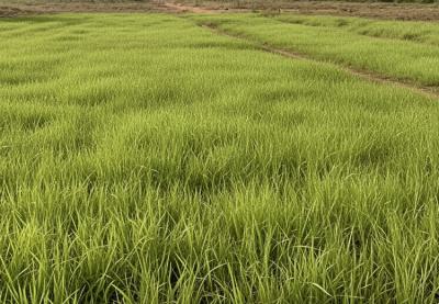 Land, Off Freedom Way, Lekki Phase 1, Lekki, Lagos, Residential Land Joint Venture