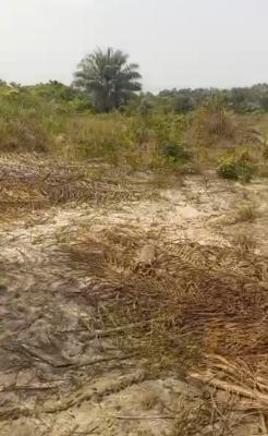 Acres of Dry Land, Elereangbe, Ibeju Lekki, Lagos, Mixed-use Land for Sale