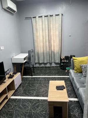 Neatly Used Furnished One Bedroom Apartment, Pedro Road, Pedro, Gbagada, Lagos, Mini Flat (room and Parlour) for Rent