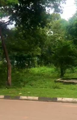 Prime 5,000sqm Garden Land., Wuse 2, Abuja, Commercial Land for Sale