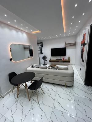 2 Bedroom Fully Furnished Apartment, Ologolo, Lekki, Lagos, Flat / Apartment for Rent