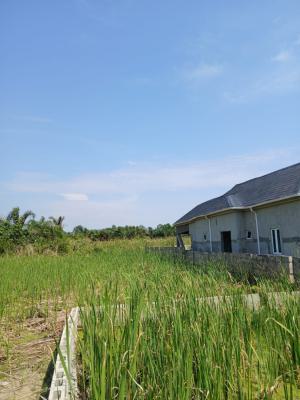 2 and a Half Plots of Land, Evang Samul Nurudeen, Ajah, Sangotedo, Ajah, Lagos, Residential Land for Sale