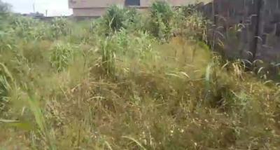 Buy and Build Land with Gazette, Greenwood Estate, Abijo, Lekki, Lagos, Land for Sale
