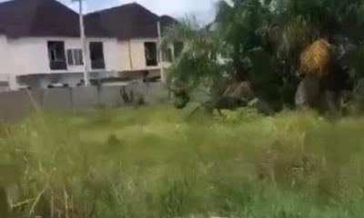 14 Plots of Land Directly Facing The Major Road, Royal Pine Estate Off Orchid Road,, Lekki, Lagos, Land for Sale