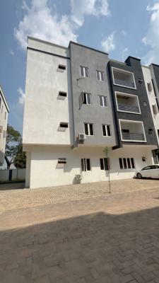 a Brand New Spacious 3-bedroom Flat + 1bq, Wuye District Abuja, Wuye, Abuja, Flat / Apartment for Rent