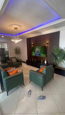 Furnished 2bedroom Apartment in a Serene Location, By Pinnacle Filling Station Road, Lekki Right Hand Side, Lekki, Lagos, Lekki Phase 1, Lekki, Lagos, Flat / Apartment for Rent