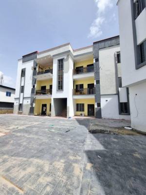 Executive 2 Bedroom Flat, Alaka, Surulere, Lagos, House for Rent