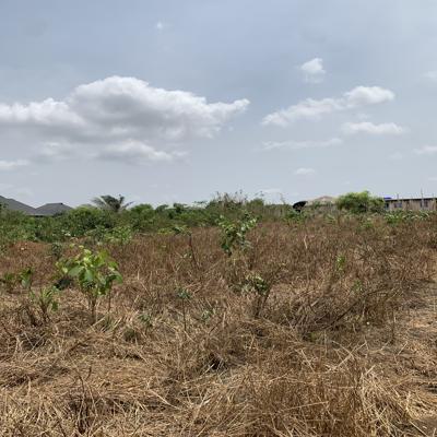 Farmland with Staff Quarters, Onanisa Town, Odugbe Bus Stop, Ado-odo/ota, Ogun, Commercial Land for Sale