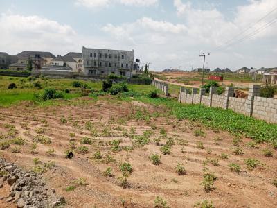 Land Measuring 250sqm, Gousa District, Idu Industrial, Abuja, Mixed-use Land for Sale