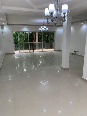 Serviced Spacious 3 Bedroom Block of Flat for Elites and Big Boss, Wuse 2, Abuja, Flat / Apartment for Rent