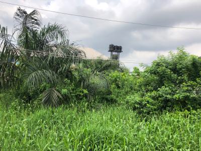 3plots Cornerpiece, Fence Round with Two Gates, Bucknor Off Community Road Ago Palace, Ago Palace, Isolo, Lagos, Mixed-use Land for Sale