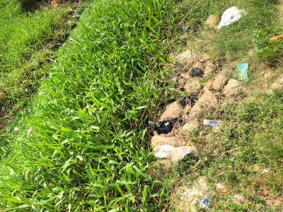 2plots Together on Interlocked Road, Parkview Estate, Ago Palace, Isolo, Lagos, Commercial Land for Rent