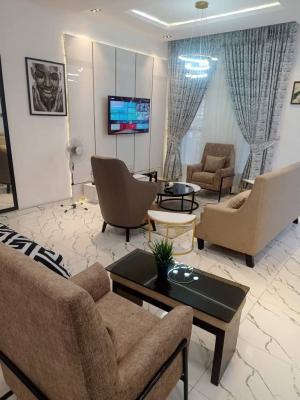 Beautiful Well Crafted Studio Shortlet, Chevyview Estate, Lekki, Lagos, Flat / Apartment for Rent