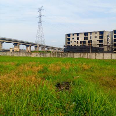 Nice Located 11 Plots of Empty Industrial Land, Orile Iganmu, Surulere, Lagos, Industrial Land for Rent