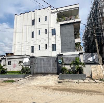 Furnished 2 Bed  170 Million, Ikate, Lekki, Lagos, Flat / Apartment for Sale