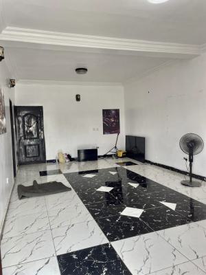 Well Maintained 2 Bedroom Apartment, Chevron Drive, Lekki, Lagos, Flat / Apartment for Sale