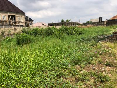 Full Plot of Land Available, Greenfield Estate, Ago Palace, Isolo, Lagos, Residential Land for Sale