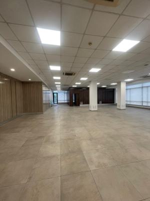 Premium Commercial Spaces, Lekki Phase 1, Lekki, Lagos, Commercial Property for Rent