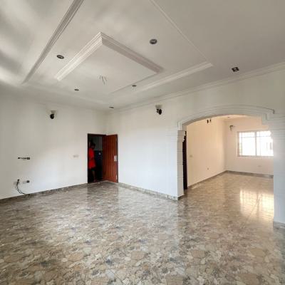 Nice 2 Bedroom Flat, Ikate, Lekki, Lagos, Flat / Apartment for Rent