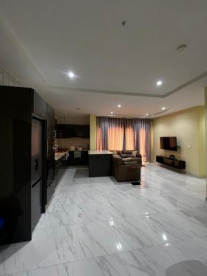 Fully Serviced and Standard 2 Bedroom Apartment, Lekki Phase 1, Lekki, Lagos, Flat / Apartment for Rent