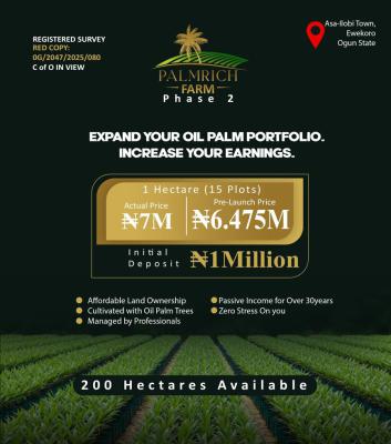 Get an Amazing Mortgage Plans Here with Palm Oil Business, a Strategic Farm for Palm Tree Plantation in, Ewekoro, Ogun, Mixed-use Land for Sale