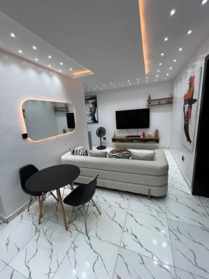 Massive  and Furnished 2 Bedroom Apartment, Ologolo, Lekki, Lagos, House for Rent