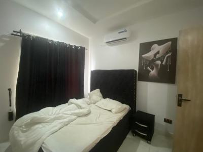 2 Bedrooms Apartment, Ikate, Lekki, Lagos, Flat / Apartment for Rent