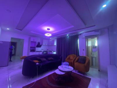 2 Bedrooms Apartment, Ikate, Lekki, Lagos, Flat / Apartment for Rent