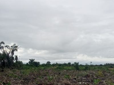 Ideal Hectares of Land Suitable for Both Commercial & Residential Use, Airport Road, Ibeju Lekki, Lagos, Mixed-use Land for Sale