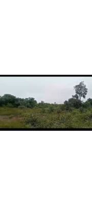 11 Plots Fully Fenced Prime Land, Imota, Off Ikorodu-ijebu Ode Road, Lagos State, Ikorodu, Lagos, Residential Land for Sale