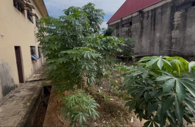 Warehouse Available, Aseese Along, Lagos-ibadan Express Way, Berger, Arepo, Ogun, Warehouse for Rent