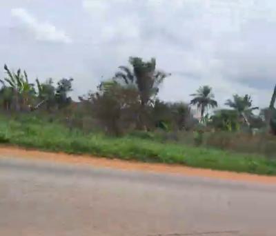 600ft By 500ft 32plots of Land 2.2 Hectares Fenced Round with C of O, Along Ehor Highway Near The Police Station, Benin, Oredo, Edo, Land for Sale