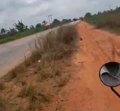 600ft By 500ft 32plots of Land 2.2 Hectares Fenced Round with C of O, Along Ehor Highway Near The Police Station, Benin, Oredo, Edo, Land for Sale