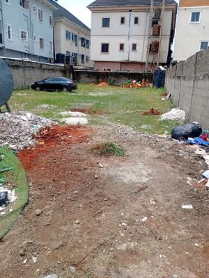 Fenced and Gated Land Measuring 750sqm, Victory Estate, Amuwo Odofin, Lagos, Residential Land for Sale