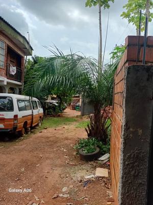8 Bedrooms Duplex, Dhamija, Trans Ekulu, Enugu, Enugu, Detached Duplex for Sale