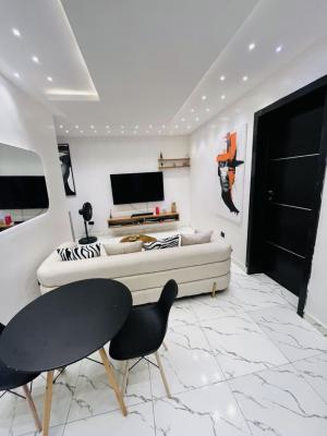 Luxury and Beautifully Furnished Apartment with Inverter, Ologolo, Lekki, Lagos, Flat / Apartment for Rent