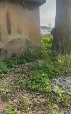 2800 Sqm of Land Fence Round on Corner Peace  with Gate, Agidingbi, Ikeja, Lagos, Mixed-use Land Joint Venture